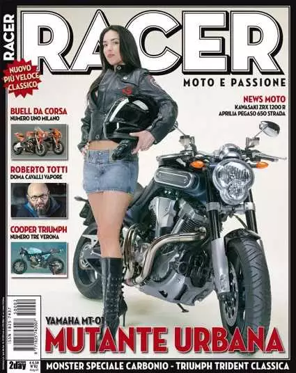 Rennfahrerabdeckung2